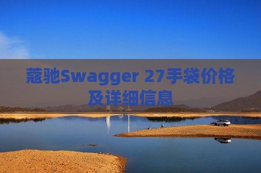 蔻驰Swagger 27手袋价格及详细信息